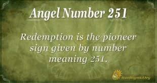 251 angel number